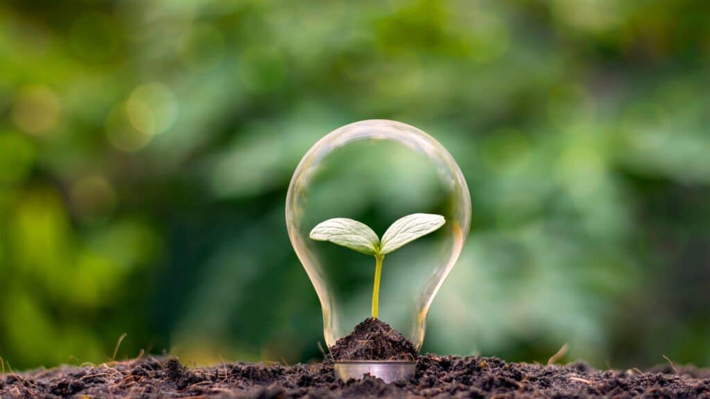 A green sprout grows inside a lightbulb to illustrate sustainability marketing.